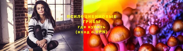 apvp Снежногорск