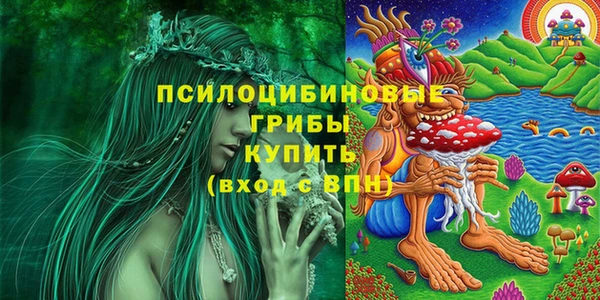 гидропоника Строитель