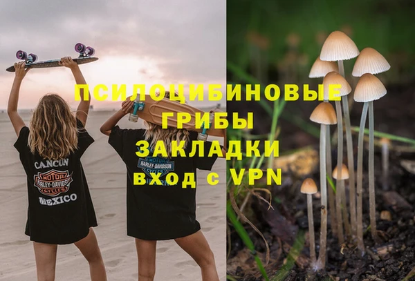 apvp Снежногорск