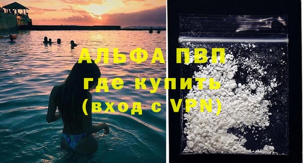 шишки Верхний Тагил