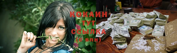 стаф Снежинск